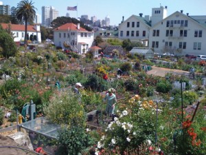 San Francisco, CA via The Architect's Newspaper