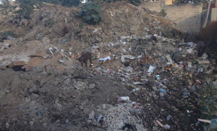 Port-Au-Prince, Haiti 2014 by Rosaly Byrd