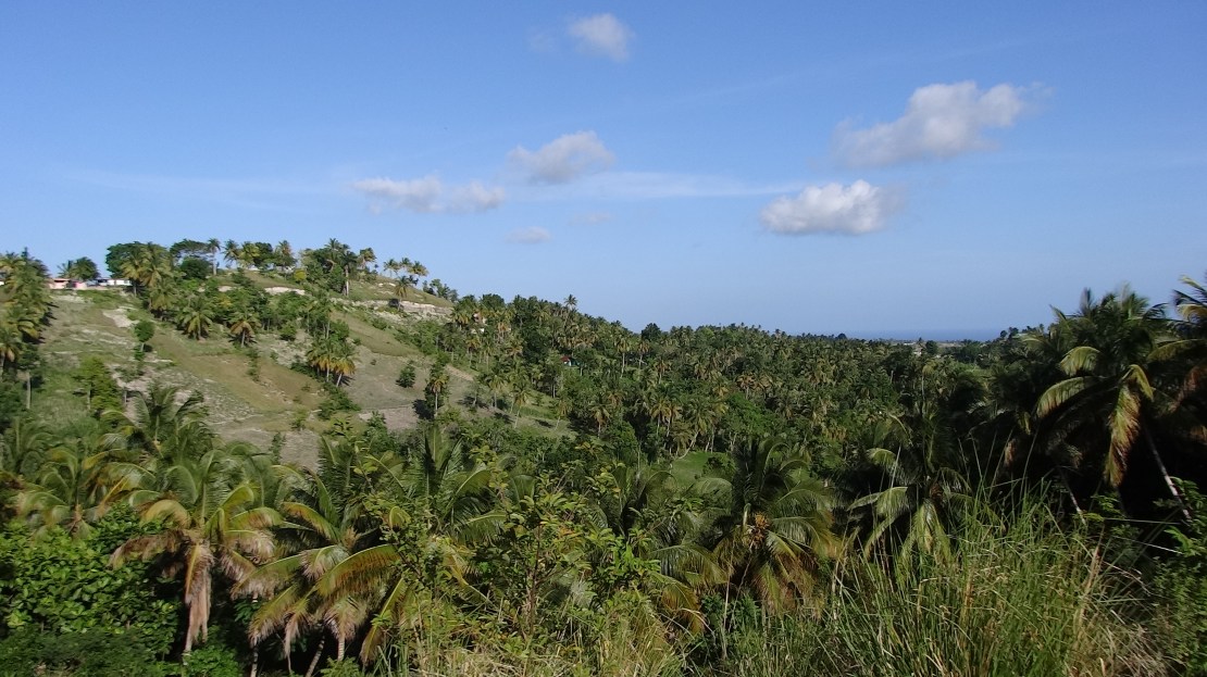 haiti2014 (1)