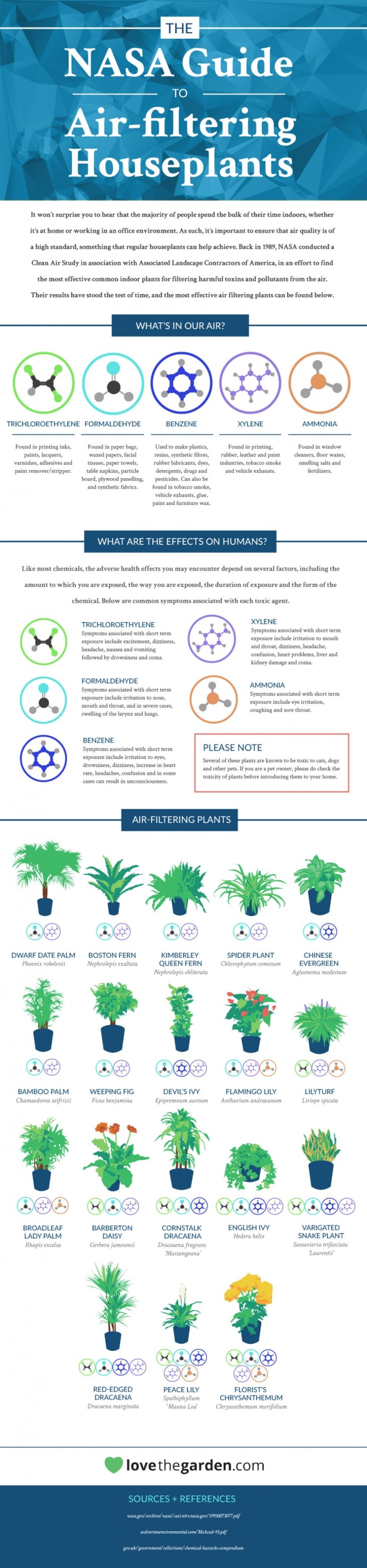 NASA Guide to Air Filtering Houseplants